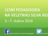 Příprava programu lesní pedagogiky 